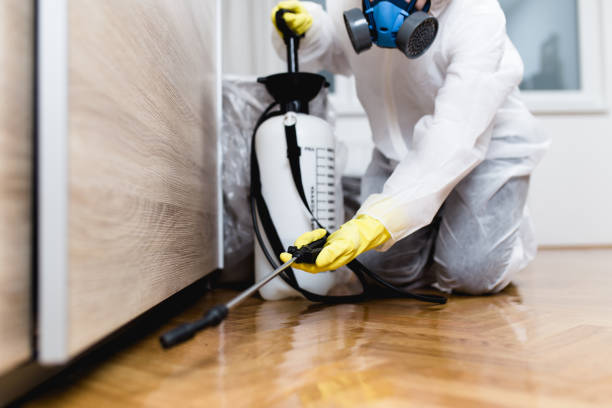 Pest Control for Restaurants in Ripley, WV