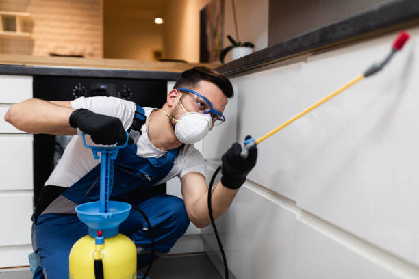 Best Best Pest Control Companies  in Ripley, WV