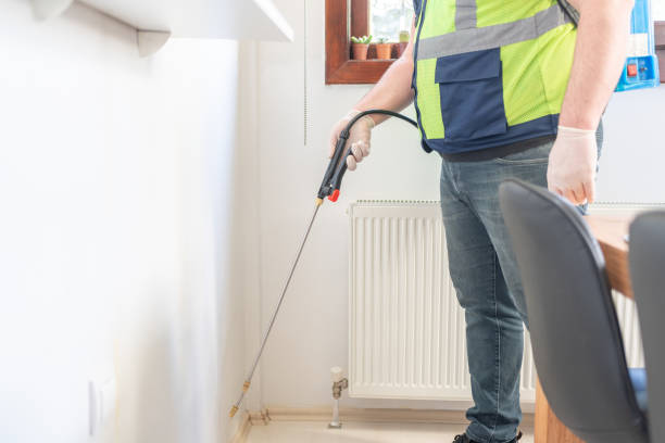 Best Bed Bug Extermination  in Ripley, WV