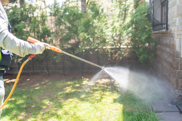Best Insect Control  in Ripley, WV