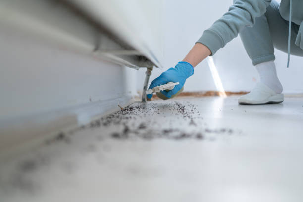Best Best Pest Control Companies  in Ripley, WV